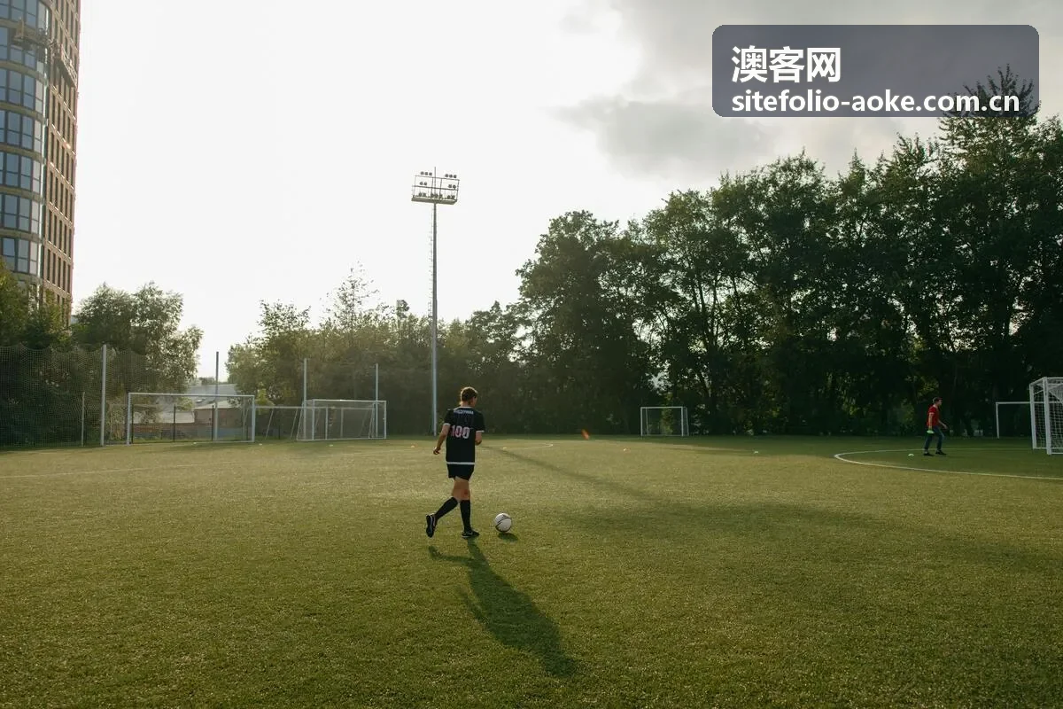澳客网历史数据补充说明